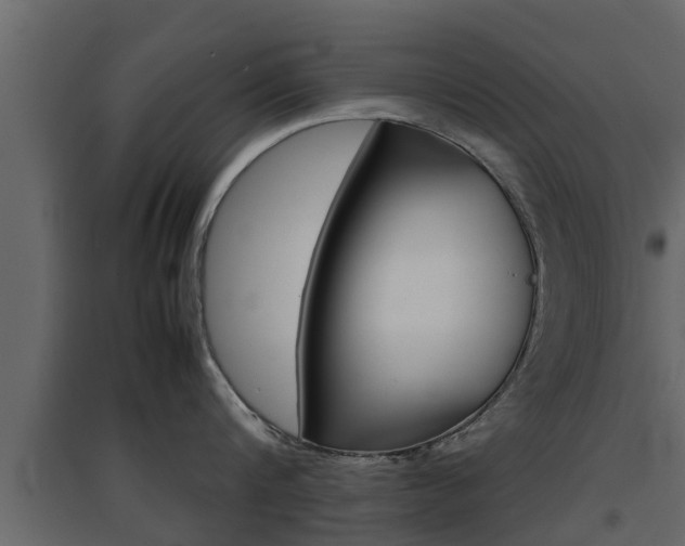 X0000094970816200711291136