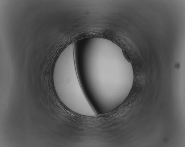 X0000094970817200711291135