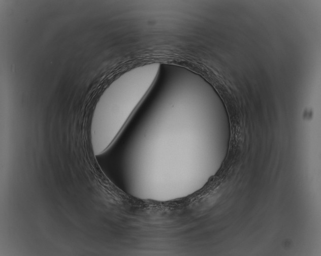 X0000094970818200711291135