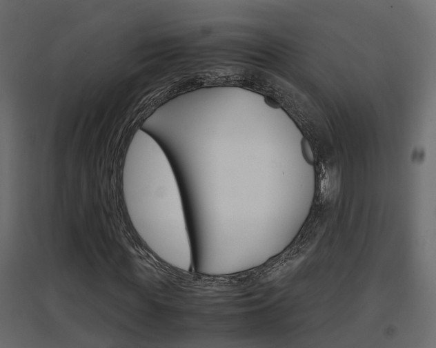 X0000094970819200711291135