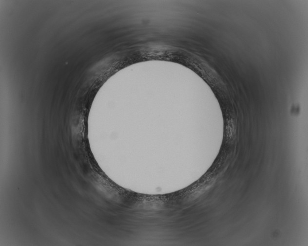 X0000094970820200711291135