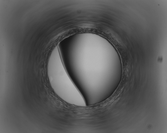 X0000094970821200711291135