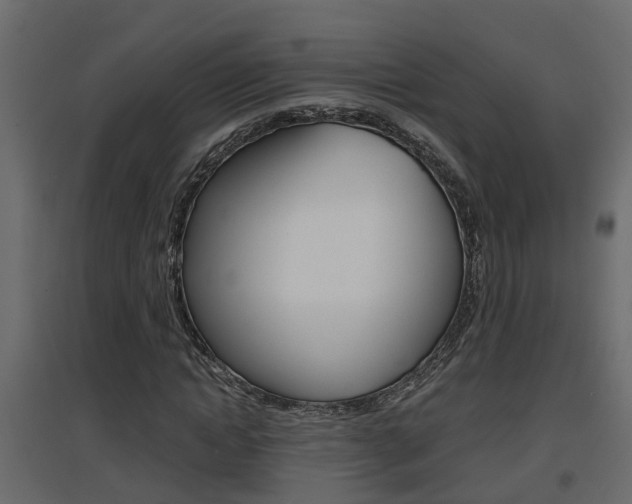 X0000094970822200711291135