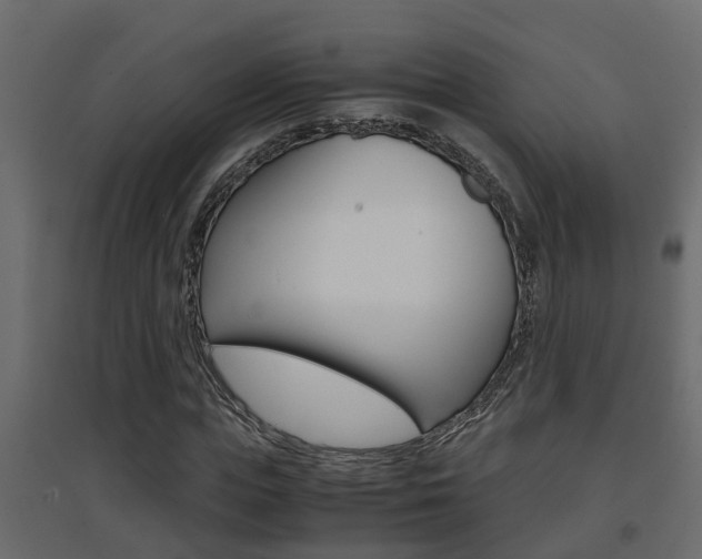 X0000094970823200711291135