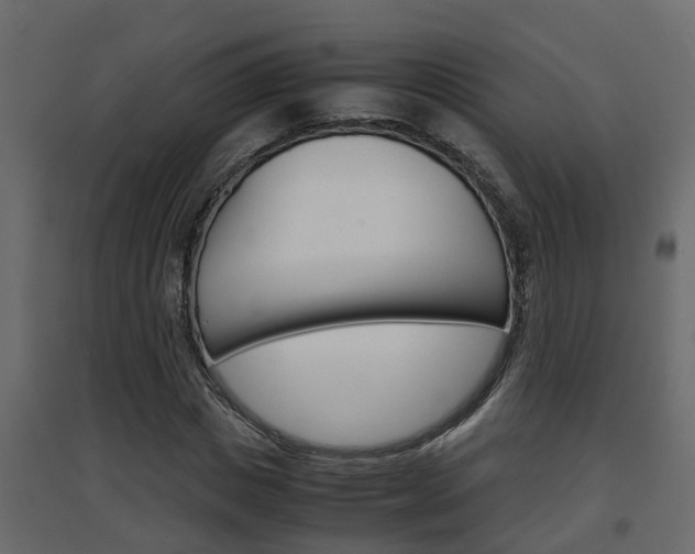X0000094970825200711291135