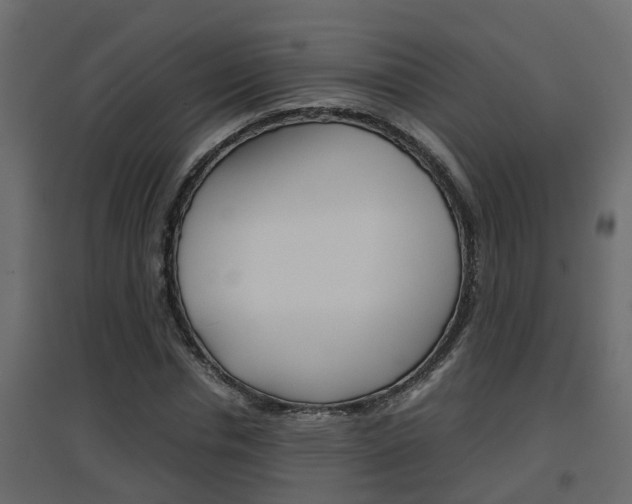 X0000094970826200711291135