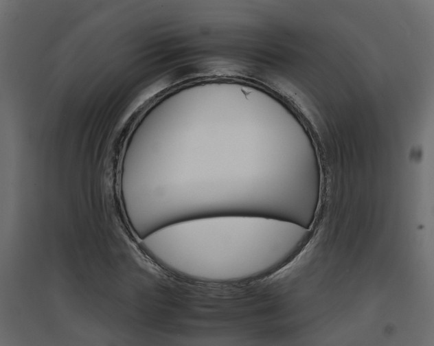 X0000094970827200711291135