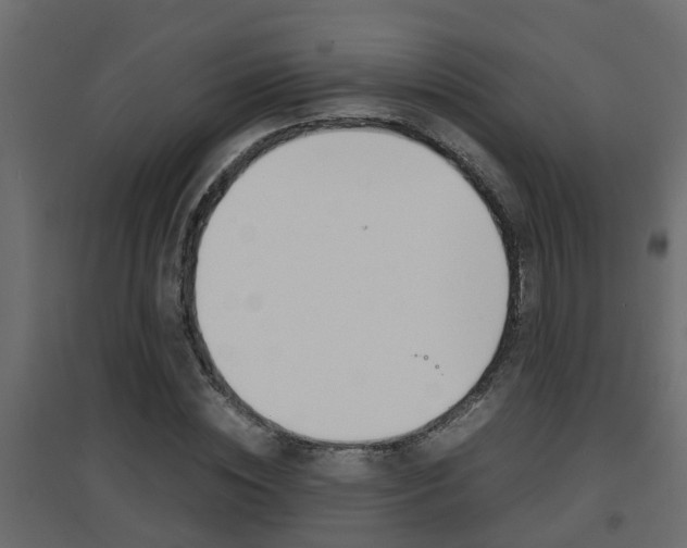 X0000094970828200711291135