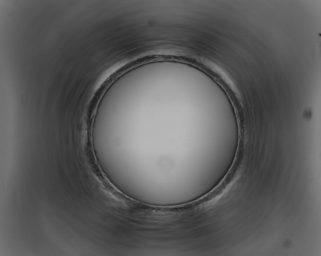 X0000094970829200711291135