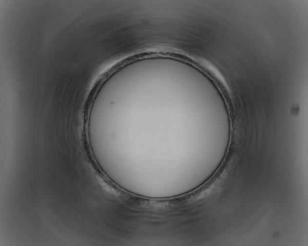 X0000094970831200711291135