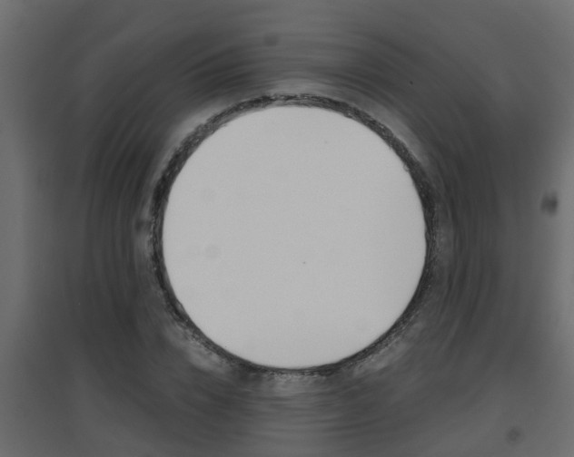 X0000094970832200711291135
