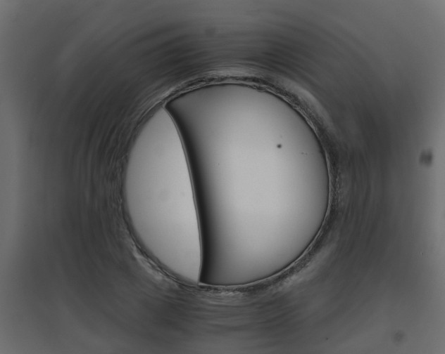X0000094970833200711291136