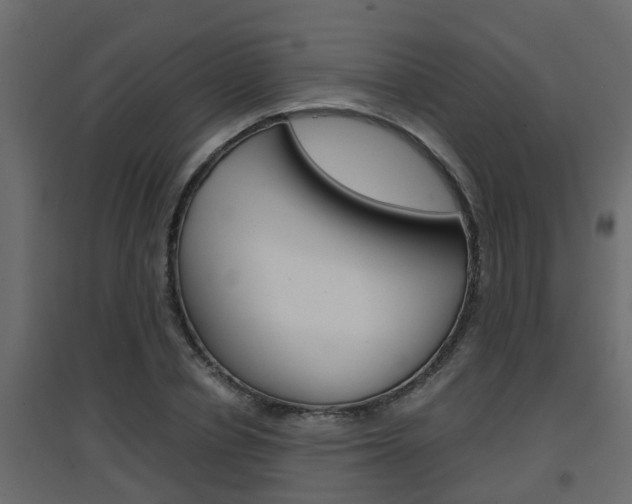 X0000094970834200711291136