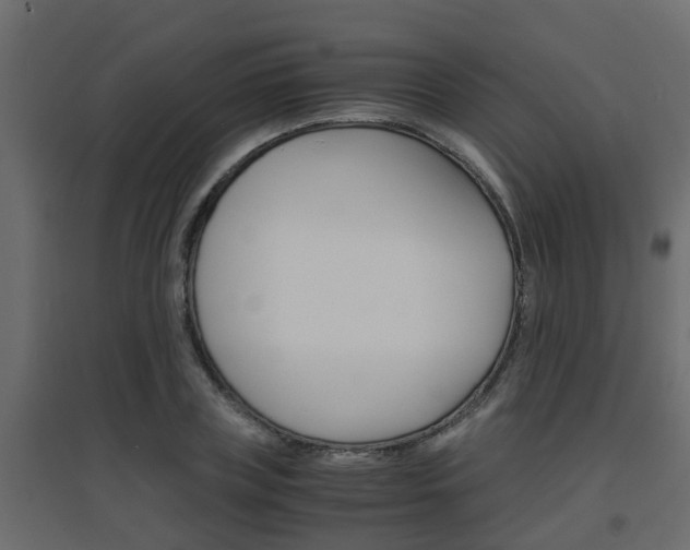 X0000094970835200711291136