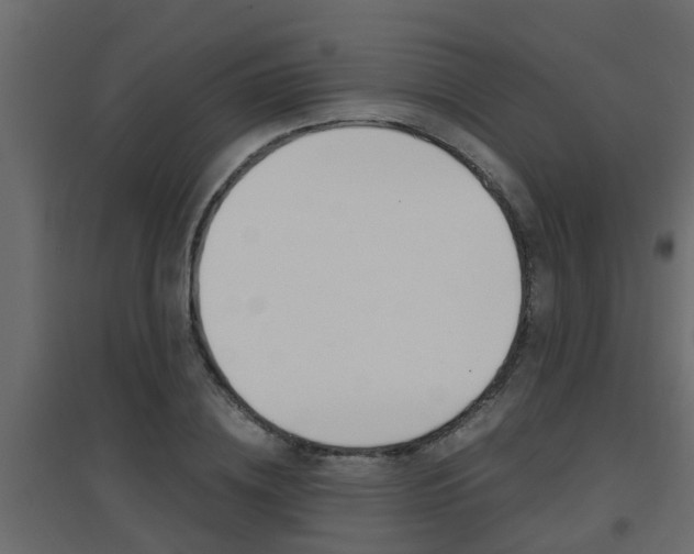X0000094970836200711291136