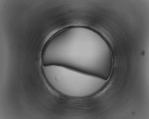 X0000094970837200711291136