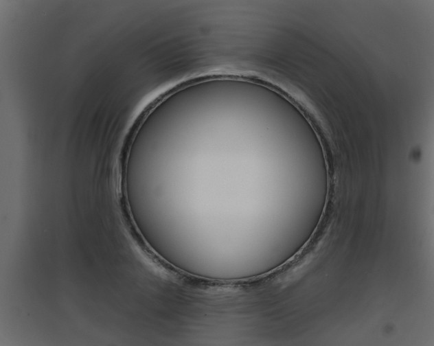 X0000094970838200711291136