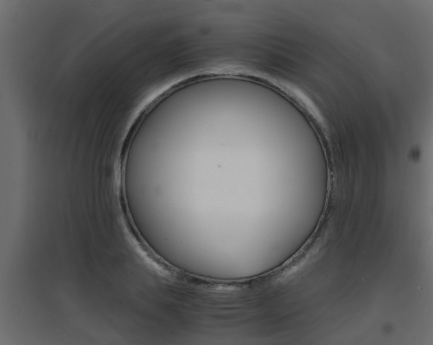 X0000094970839200711291136