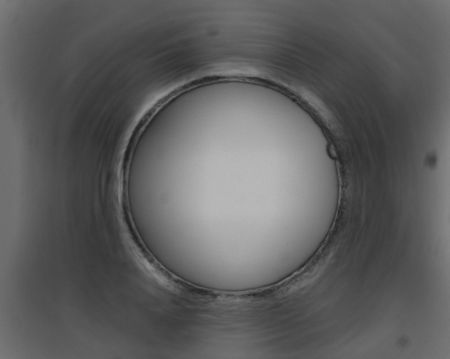 X0000094970840200711291136