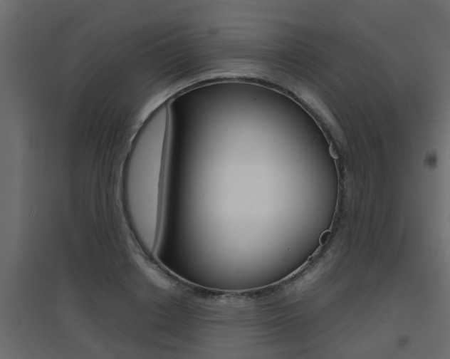 X0000094970842200711291136