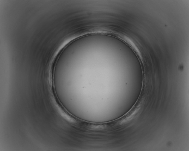 X0000094970843200711291136