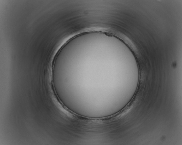 X0000094970844200711291136