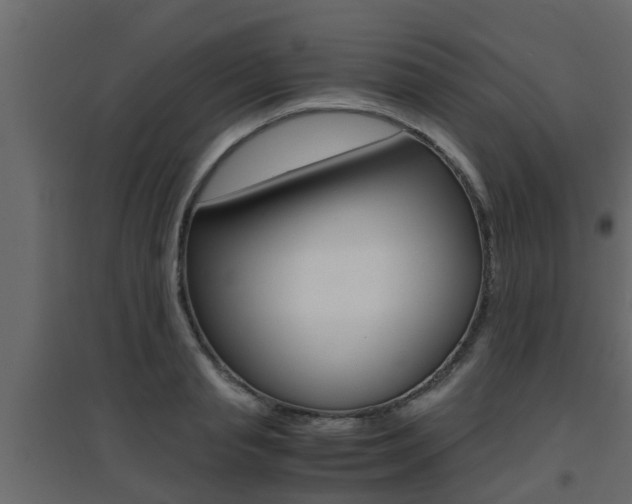 X0000094970845200711291136