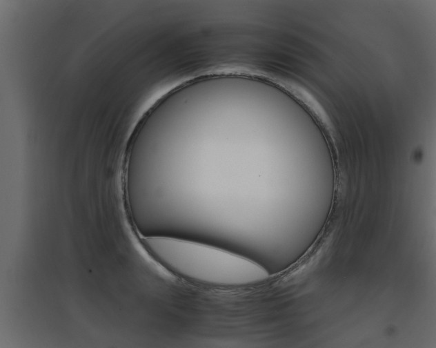 X0000094970847200711291136