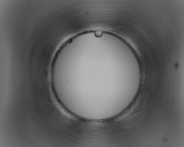 X0000094970848200711291136