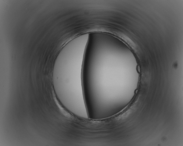 X0000094970849200711291136