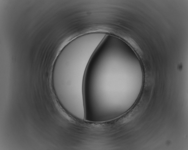 X0000094970850200711291136