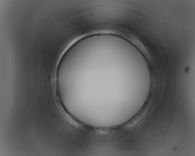 X0000094970852200711291136