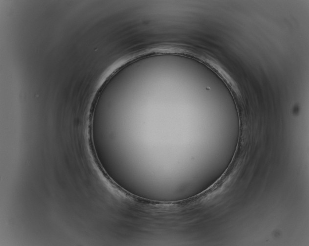 X0000094970853200711291136