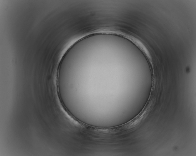 X0000094970855200711291136