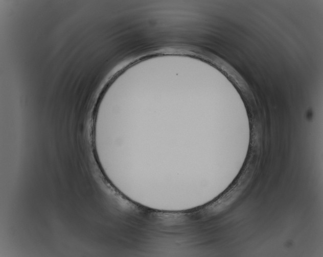 X0000094970856200711291136