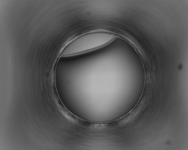 X0000094970858200711291136