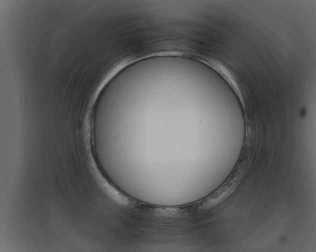 X0000094970859200711291136