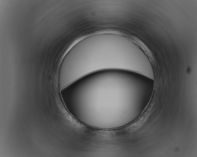 X0000094970860200711291136