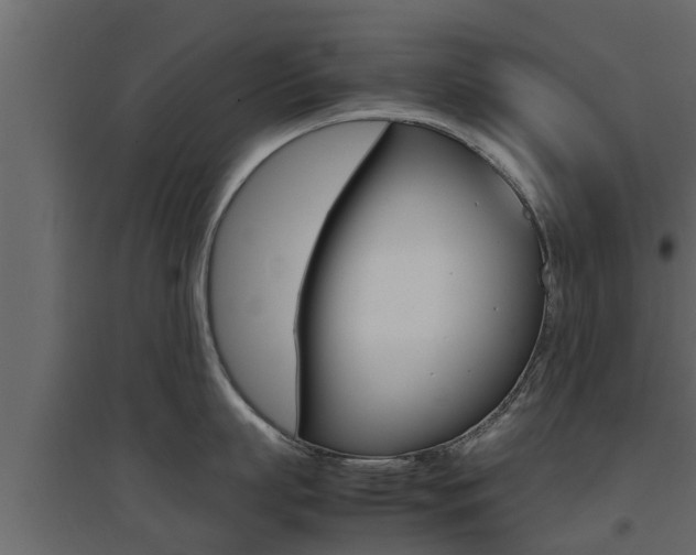 X0000094970863200711291136