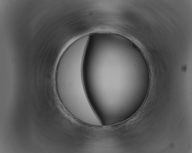 X0000094970864200711291136