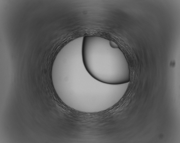 X0000094970865200711291135