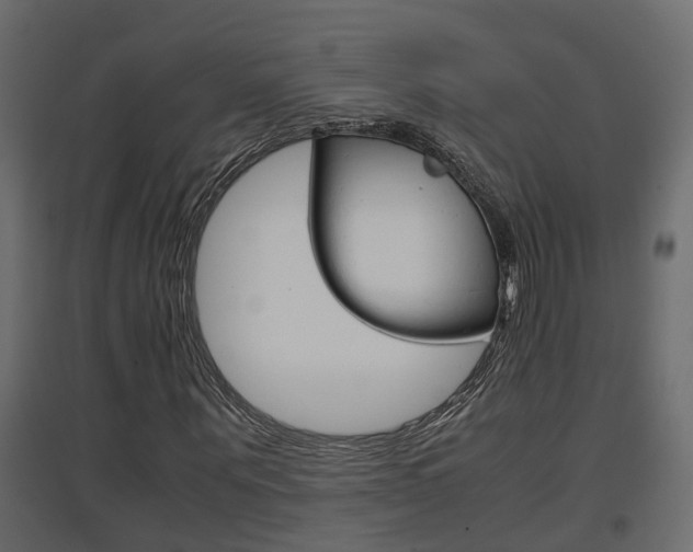 X0000094970867200711291135