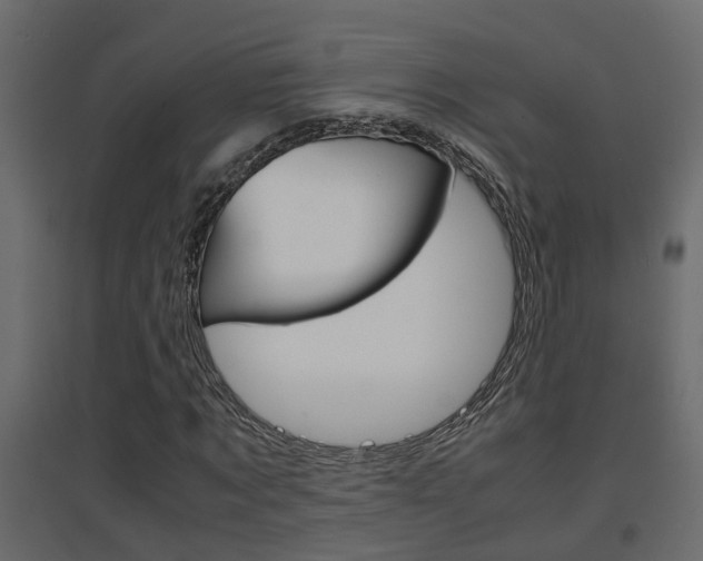 X0000094970869200711291135