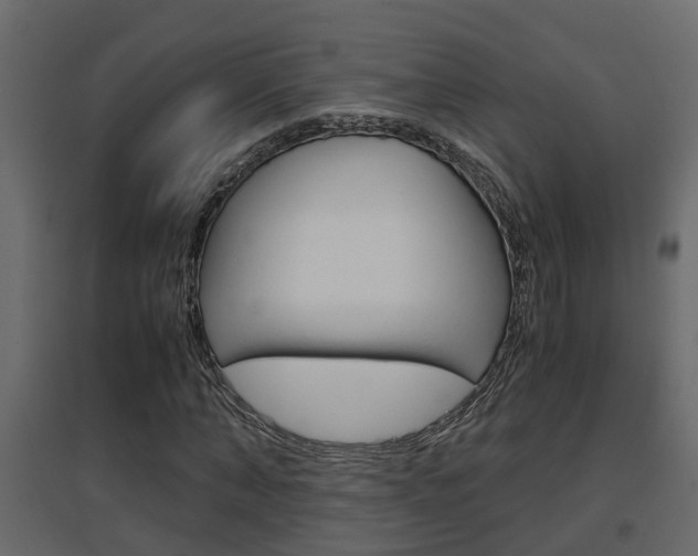 X0000094970870200711291135