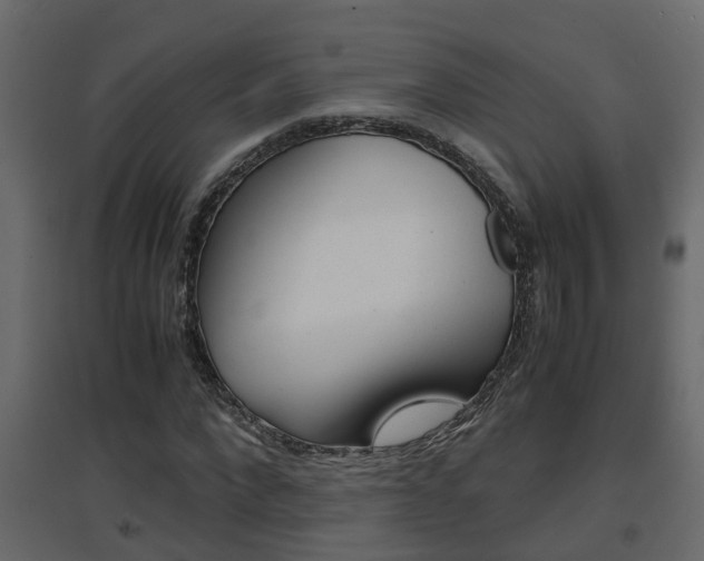 X0000094970872200711291135