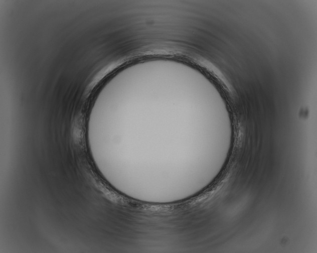 X0000094970874200711291135