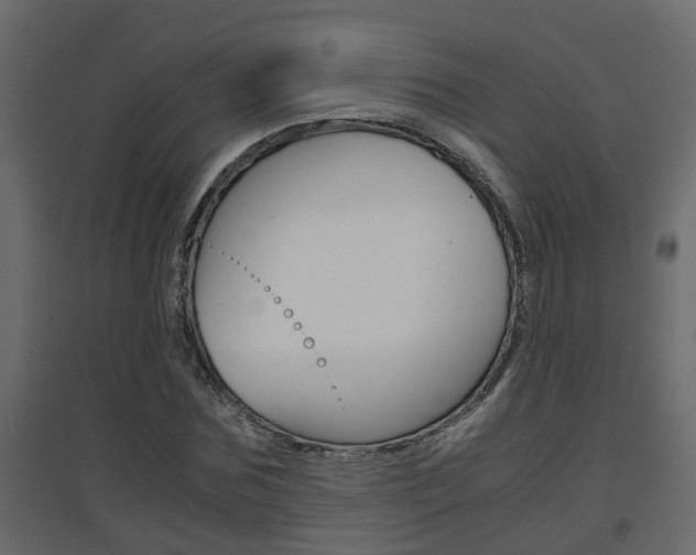 X0000094970875200711291135