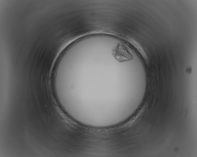 X0000094970876200711291135
