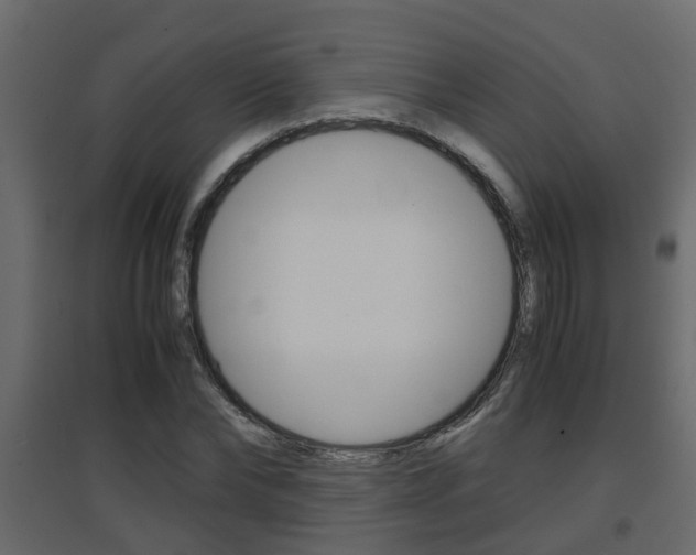 X0000094970878200711291135