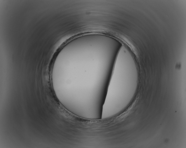 X0000094970883200711291135